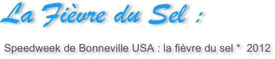 La Fièvre du Sel : 
￼
